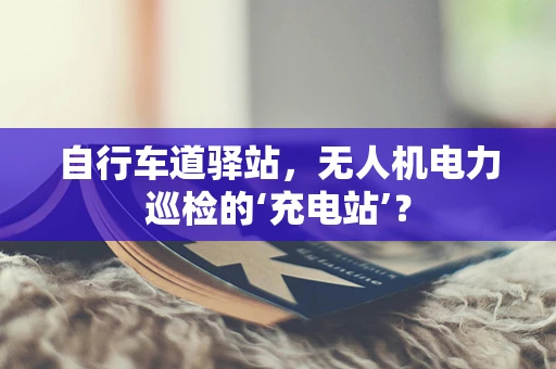 自行车道驿站，无人机电力巡检的‘充电站’？