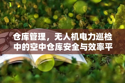 仓库管理，无人机电力巡检中的空中仓库安全与效率平衡