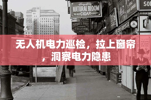 无人机电力巡检，拉上窗帘，洞察电力隐患