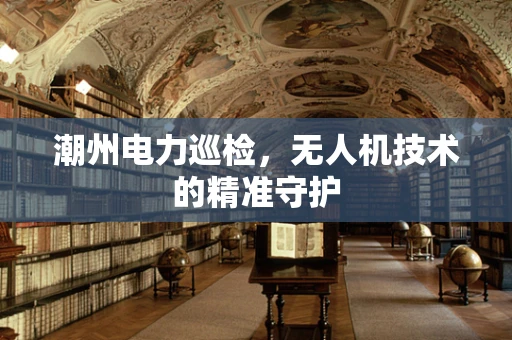 潮州电力巡检，无人机技术的精准守护