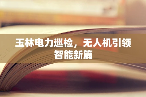 玉林电力巡检，无人机引领智能新篇