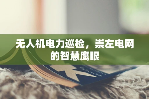 无人机电力巡检，崇左电网的智慧鹰眼