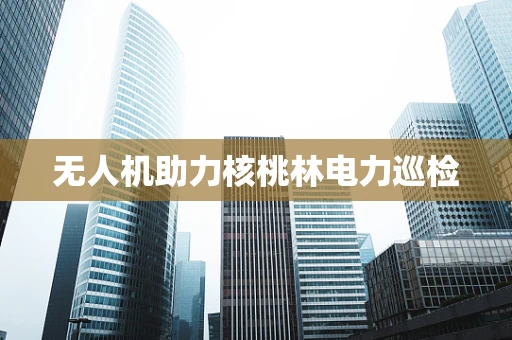 无人机助力核桃林电力巡检