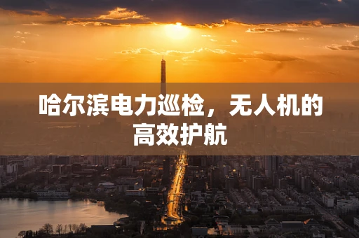 哈尔滨电力巡检，无人机的高效护航