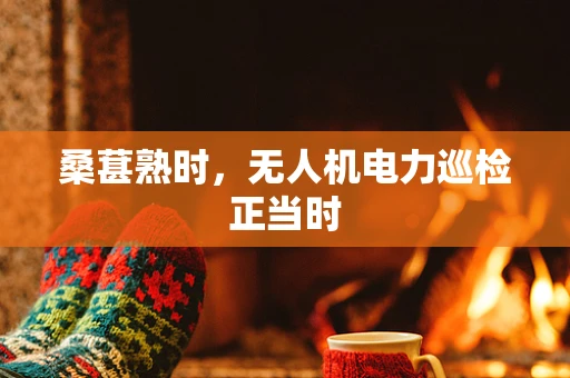 桑葚熟时，无人机电力巡检正当时