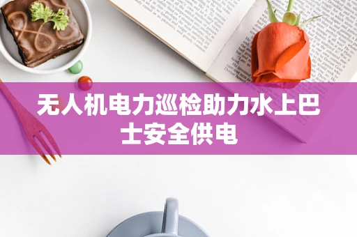 无人机电力巡检助力水上巴士安全供电