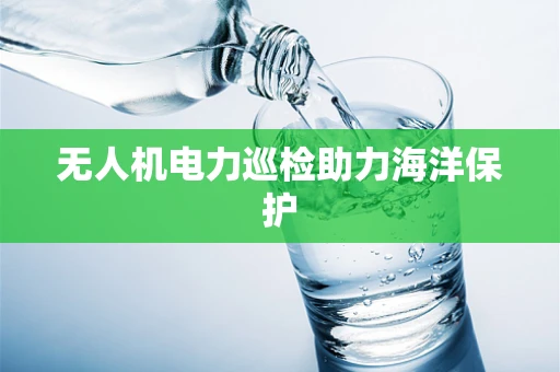 无人机电力巡检助力海洋保护