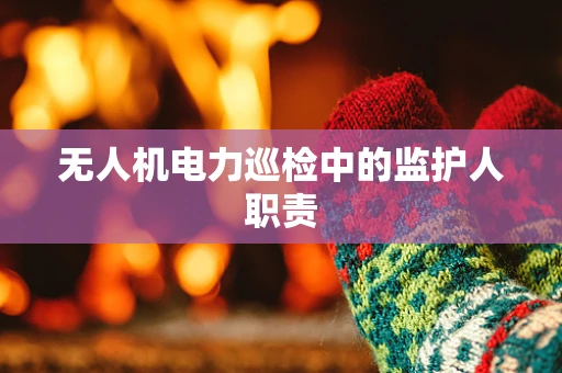 无人机电力巡检中的监护人职责