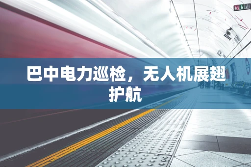 巴中电力巡检，无人机展翅护航