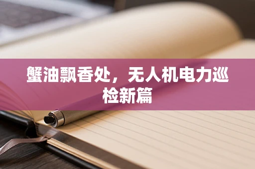 蟹油飘香处，无人机电力巡检新篇