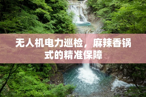 无人机电力巡检，麻辣香锅式的精准保障