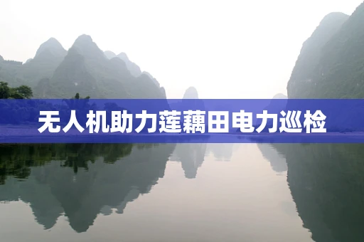 无人机助力莲藕田电力巡检