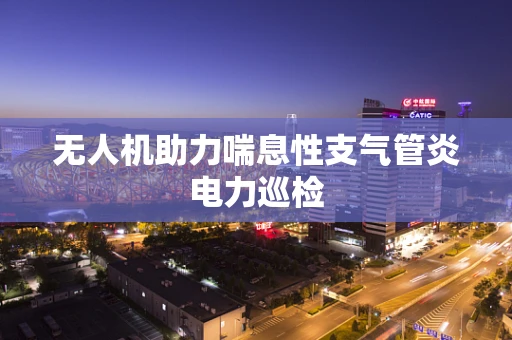 无人机助力喘息性支气管炎电力巡检