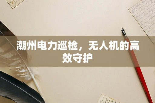 潮州电力巡检，无人机的高效守护