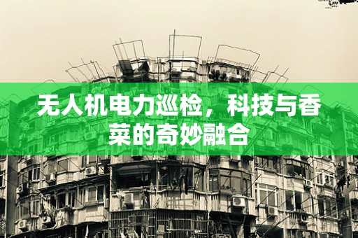 无人机电力巡检，科技与香菜的奇妙融合