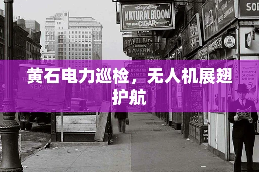 黄石电力巡检，无人机展翅护航