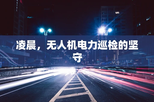 凌晨，无人机电力巡检的坚守