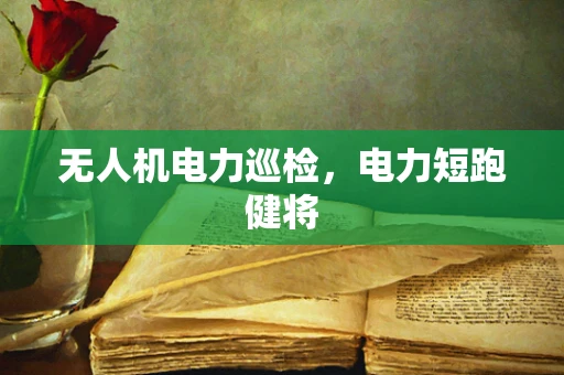 无人机电力巡检，电力短跑健将