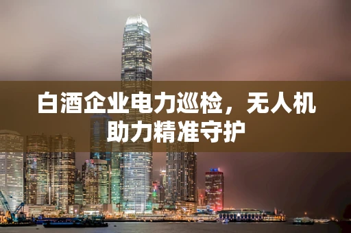 白酒企业电力巡检，无人机助力精准守护