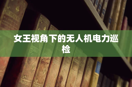 女王视角下的无人机电力巡检