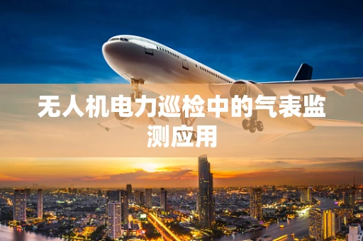 无人机电力巡检中的气表监测应用