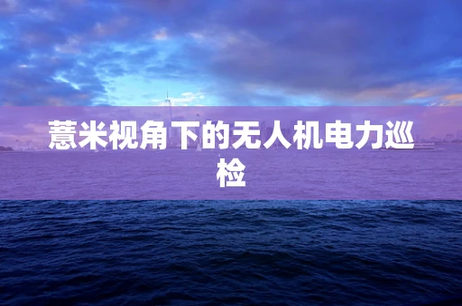 薏米视角下的无人机电力巡检