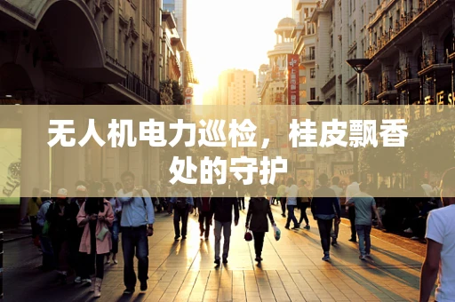 无人机电力巡检，桂皮飘香处的守护