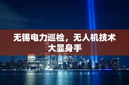 无锡电力巡检，无人机技术大显身手