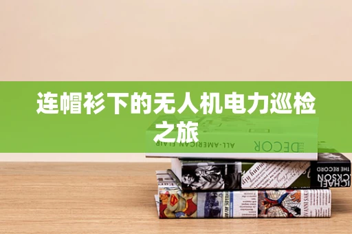 连帽衫下的无人机电力巡检之旅