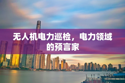 无人机电力巡检，电力领域的预言家