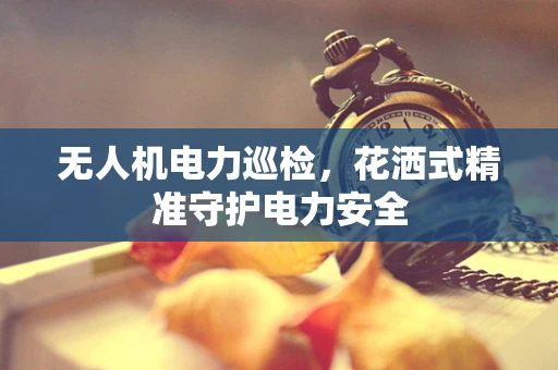 无人机电力巡检，花洒式精准守护电力安全