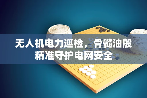 无人机电力巡检，骨髓油般精准守护电网安全