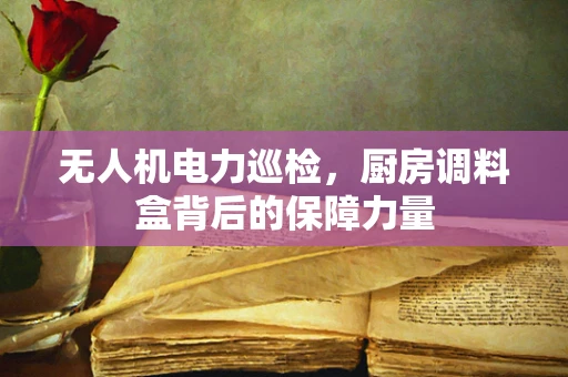 无人机电力巡检，厨房调料盒背后的保障力量