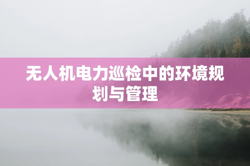 无人机电力巡检中的环境规划与管理