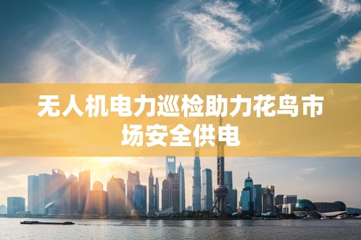 无人机电力巡检助力花鸟市场安全供电