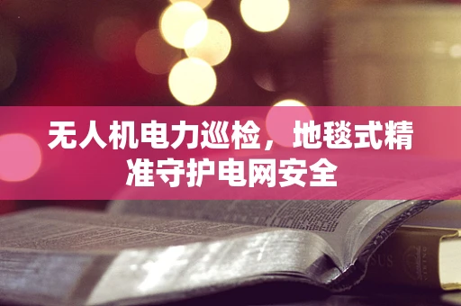 无人机电力巡检，地毯式精准守护电网安全