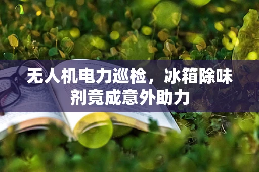 无人机电力巡检，冰箱除味剂竟成意外助力