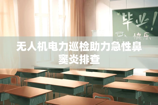 无人机电力巡检助力急性鼻窦炎排查