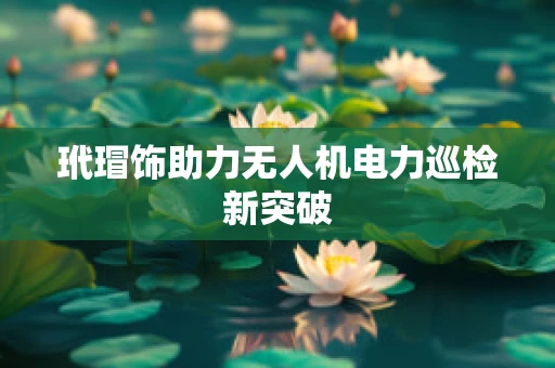 玳瑁饰助力无人机电力巡检新突破