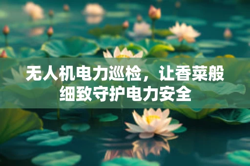 无人机电力巡检，让香菜般细致守护电力安全