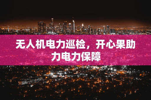 无人机电力巡检，开心果助力电力保障