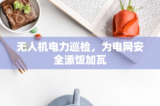 无人机电力巡检，为电网安全添饭加瓦