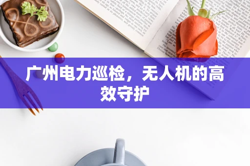 广州电力巡检，无人机的高效守护
