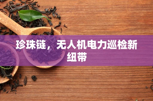 珍珠链，无人机电力巡检新纽带