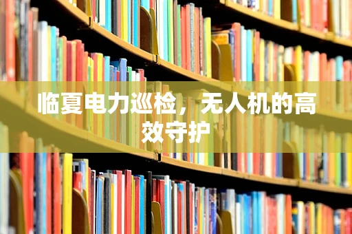 临夏电力巡检，无人机的高效守护