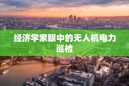 经济学家眼中的无人机电力巡检