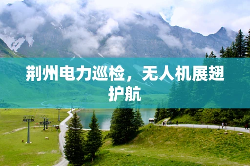 荆州电力巡检，无人机展翅护航