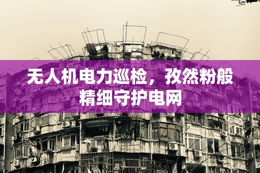 无人机电力巡检，孜然粉般精细守护电网