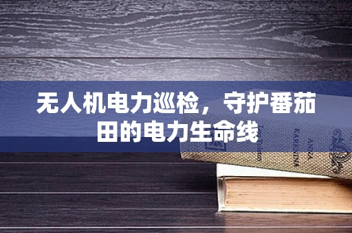 无人机电力巡检，守护番茄田的电力生命线