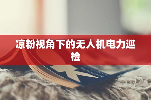 凉粉视角下的无人机电力巡检